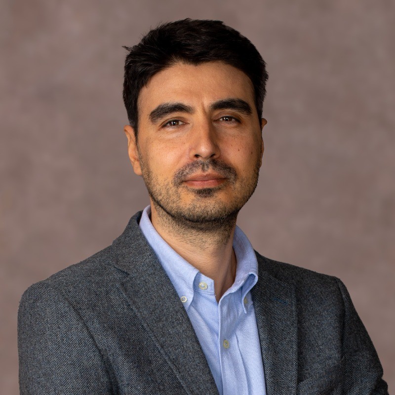 Flaviu Radulescu